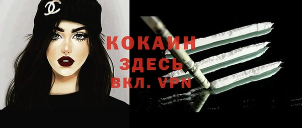 крисы Арсеньев