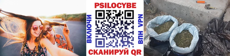 KRAKEN как войти  Белоозёрский  Псилоцибиновые грибы Magic Shrooms 