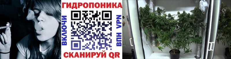 закладка  Белоозёрский  Бошки Шишки план 